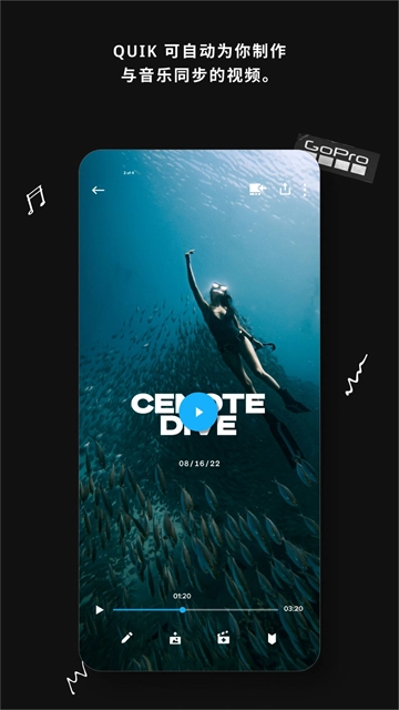 goproquik正版图2