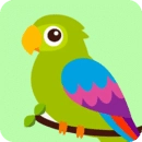鹦鹉语言翻译器手机版