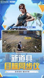 和平精英美化包正版图1