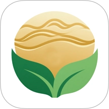 金玉满堂健康安卓直装版