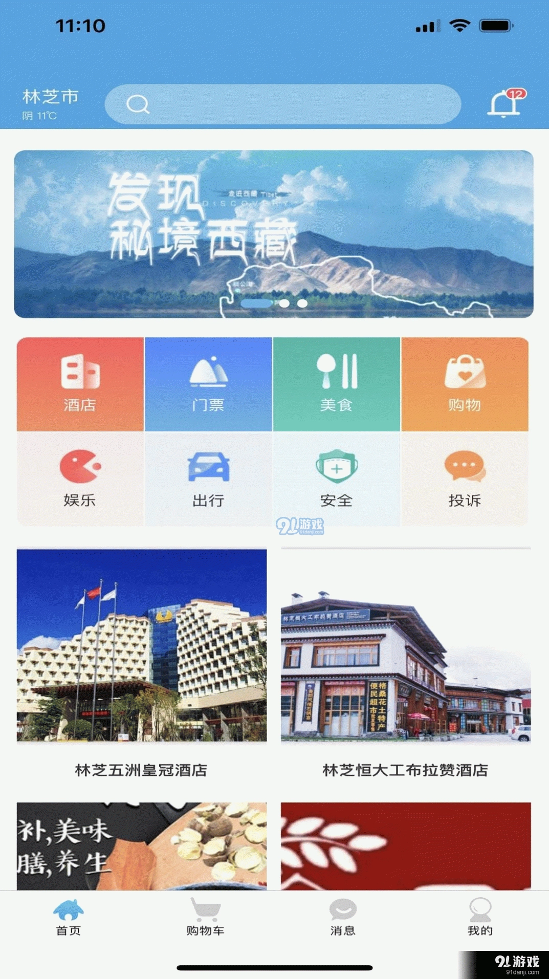 林芝宜游通用版图3