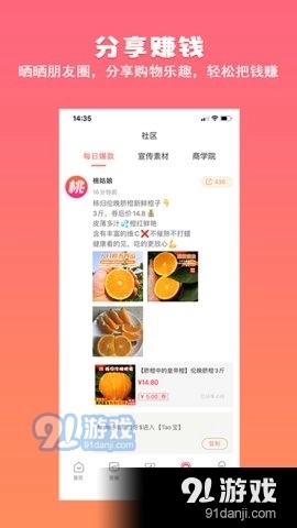 桃姑娘通用版图3