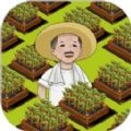 有块菜地2026直装版