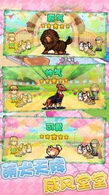 发现狗狗乐园安卓官方版图2