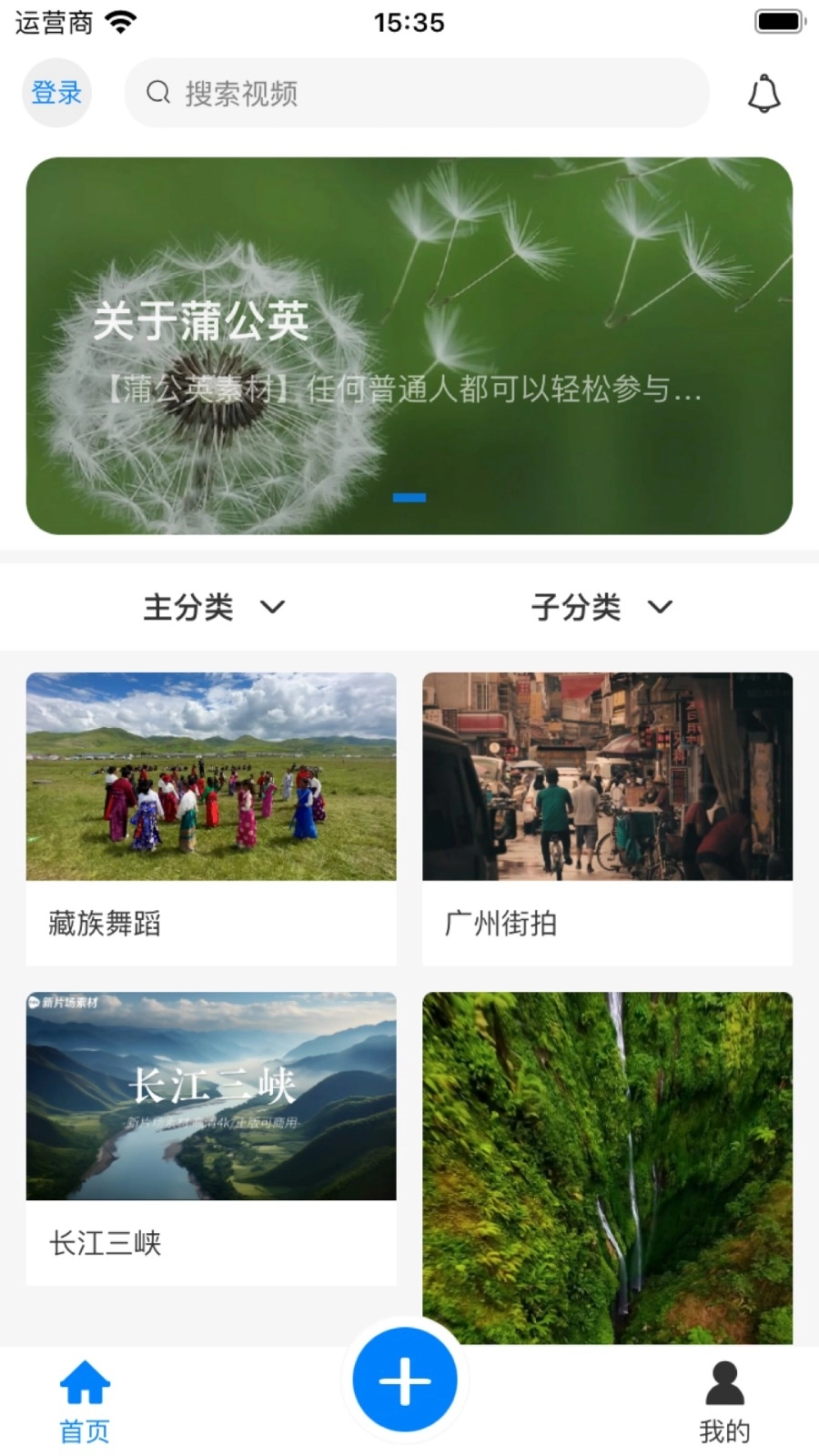 蒲公英素材正版图3
