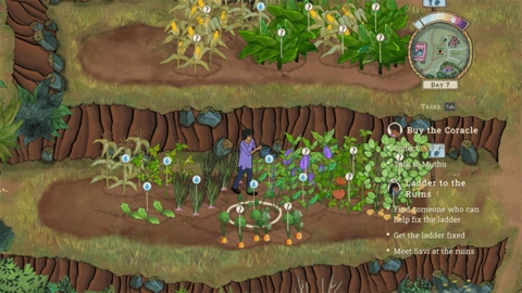 山间宫殿直装版图2