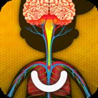 人体是如何运作的通用版