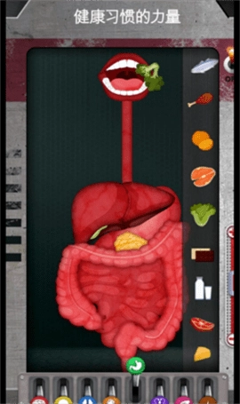 人体是如何运作的通用版图2