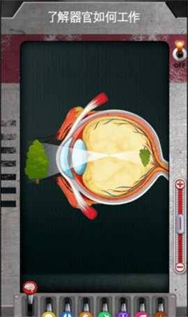 人体是如何运作的通用版图3