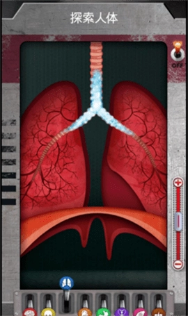 人体是如何运作的通用版图4