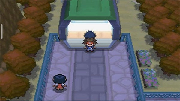 口袋妖怪超透黑2金手指安卓直装版图4