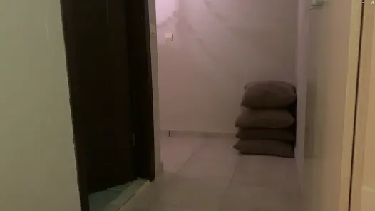 超自然公司汉化版图3