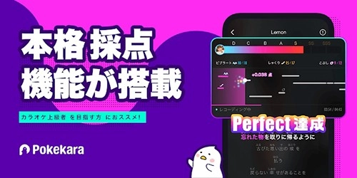 Pokekara安卓直装版图3