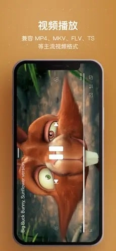 HiFier音乐播放器通用版图1