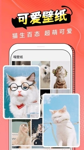 Cat Translation手机最新版图1