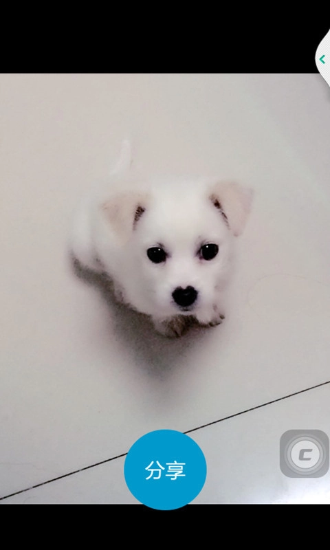 照片快享手机免费版图2