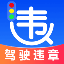 交通违章代码查询