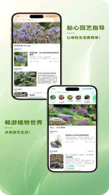 踏遍景观植物词典