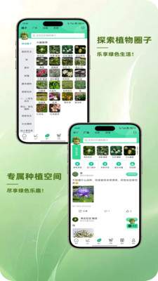 踏遍景观植物词典