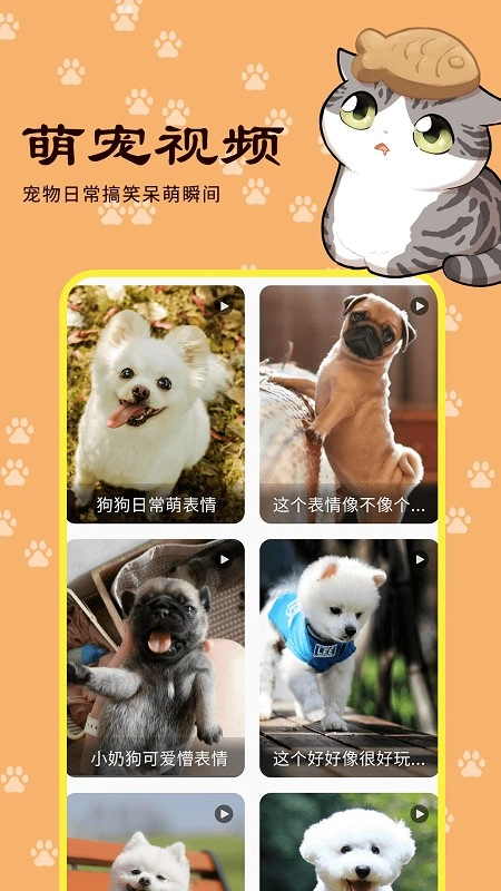 宠本本最新版图2