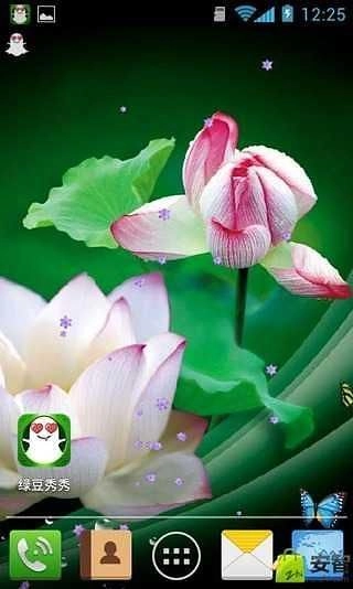 并蒂莲壁纸无广告版图2