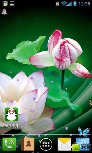 并蒂莲壁纸无广告版图3