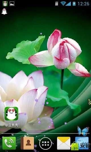 并蒂莲壁纸无广告版图4