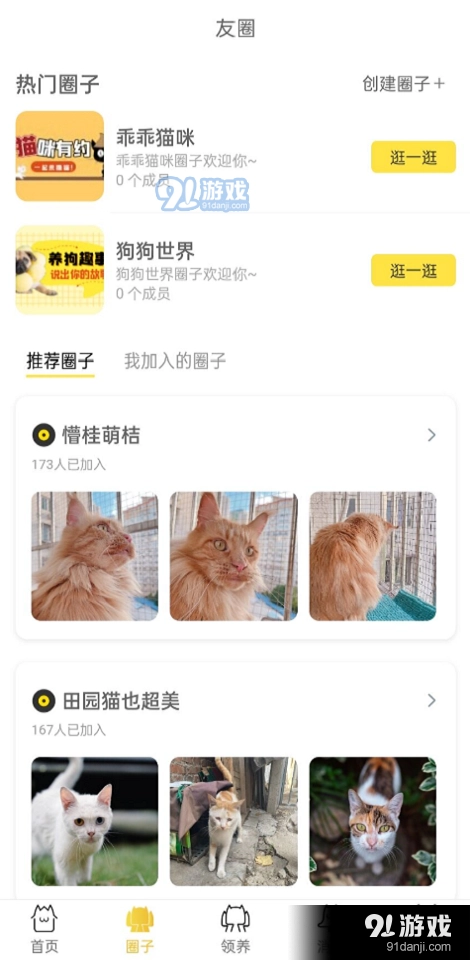 种猫家安卓版图2