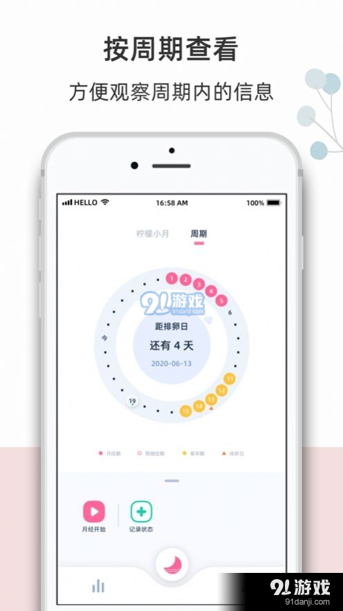 柠檬小月(2)