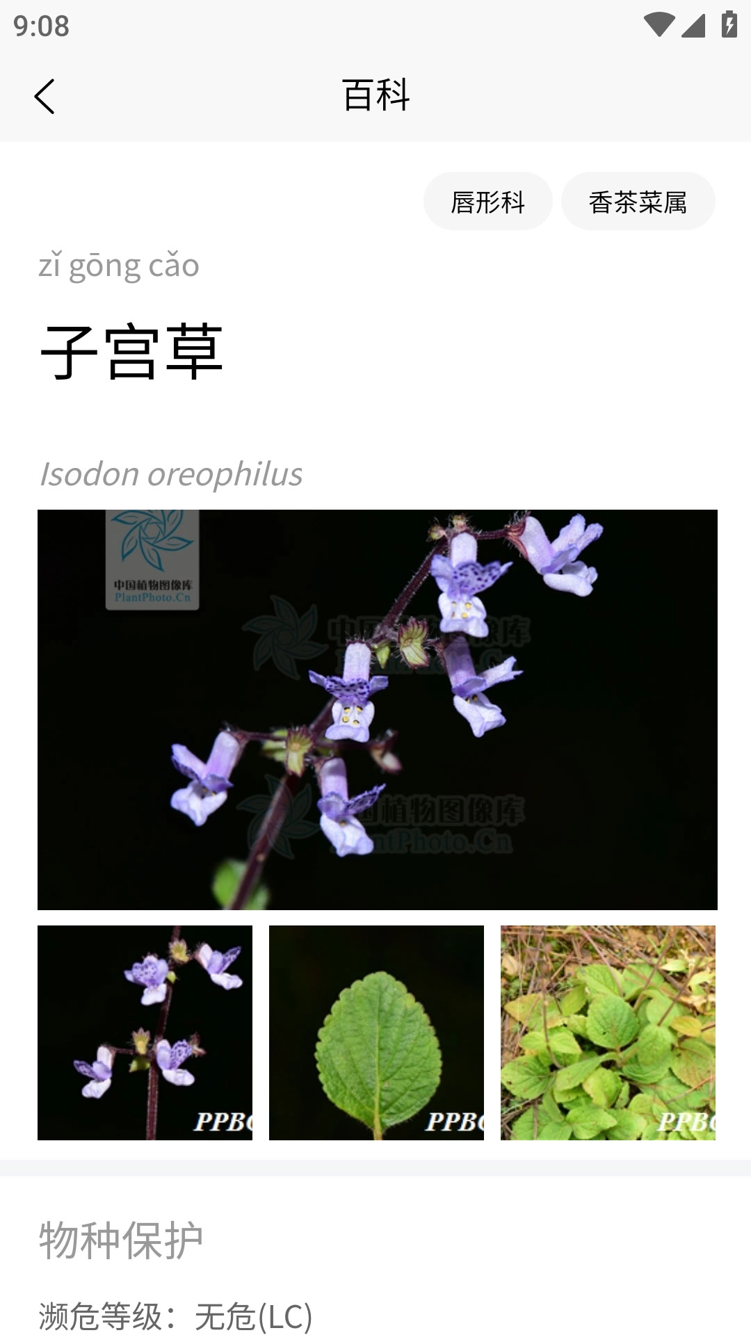 植物智安卓直装版