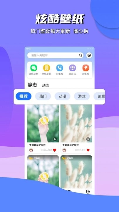 动动壁纸原版图2
