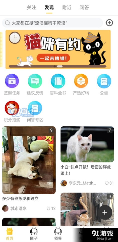 种猫家安卓版图3