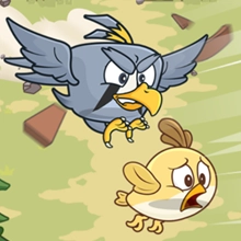 救救小鸟手机版