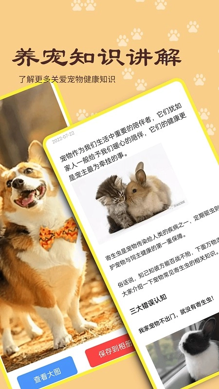 宠本本最新版图4