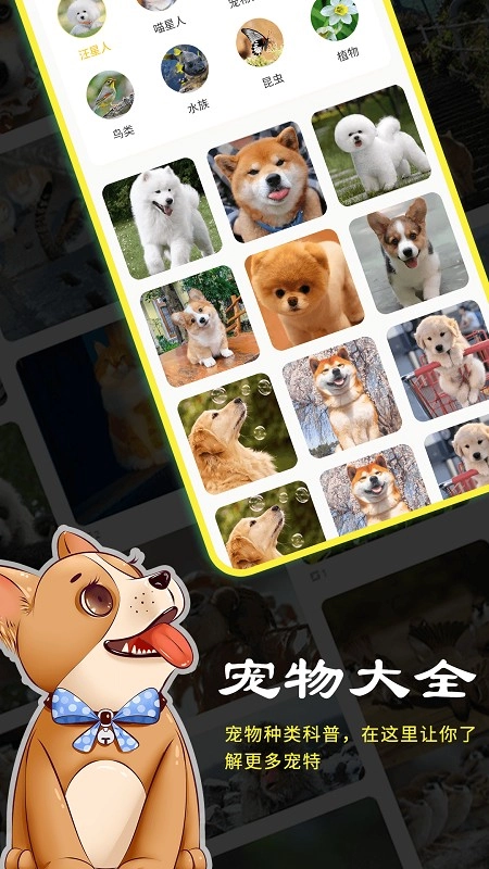 宠本本最新版图3