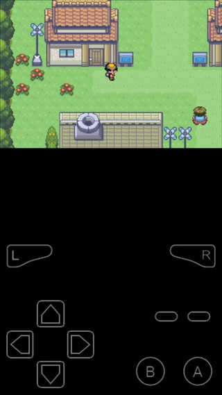 口袋妖怪极光石游戏正版图3