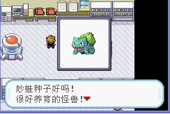 口袋妖怪叶绿游戏纯净最新版图2