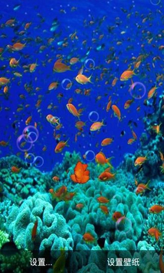 Ocean HD软件安卓版