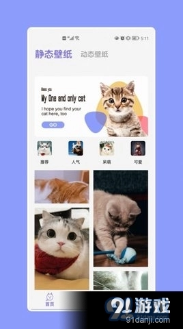 猫猫大作战免费原版图3
