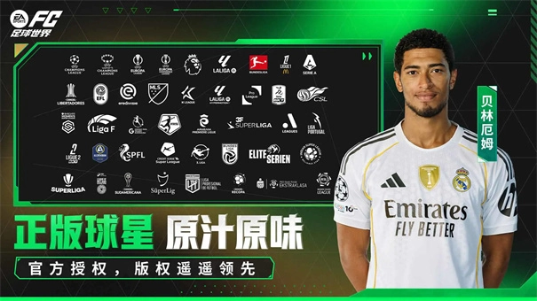 足球世界直装游戏版图3