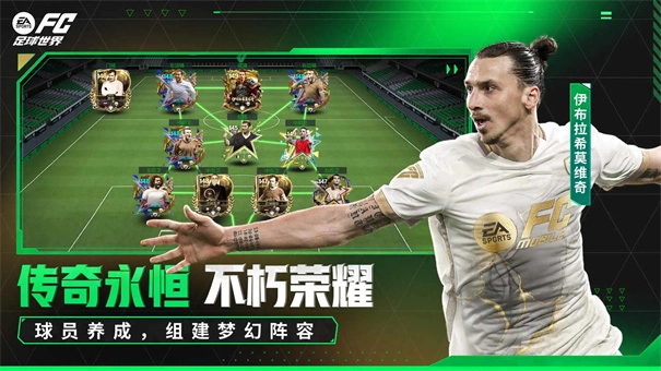 足球世界直装游戏版图6