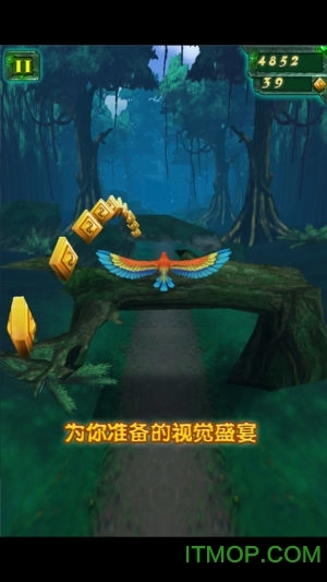 丛林大逃亡原版图4