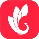 巅峰减重最新版