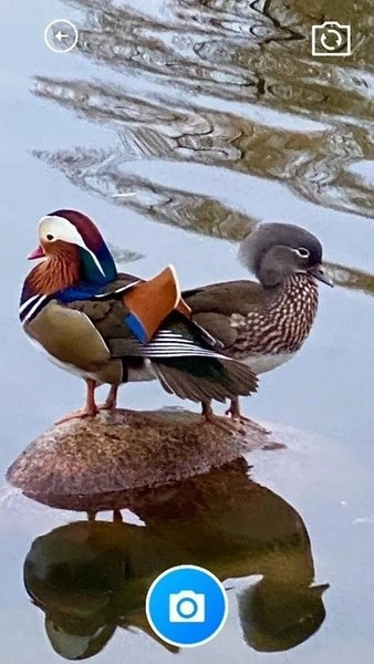 觅音智慧助手手机最新版