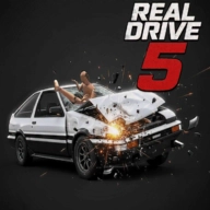 真正的驱动器5（Real Drive 5）通用版