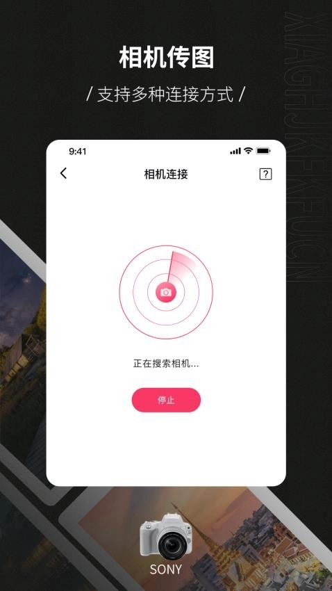 monitor+相机传输最新免费版