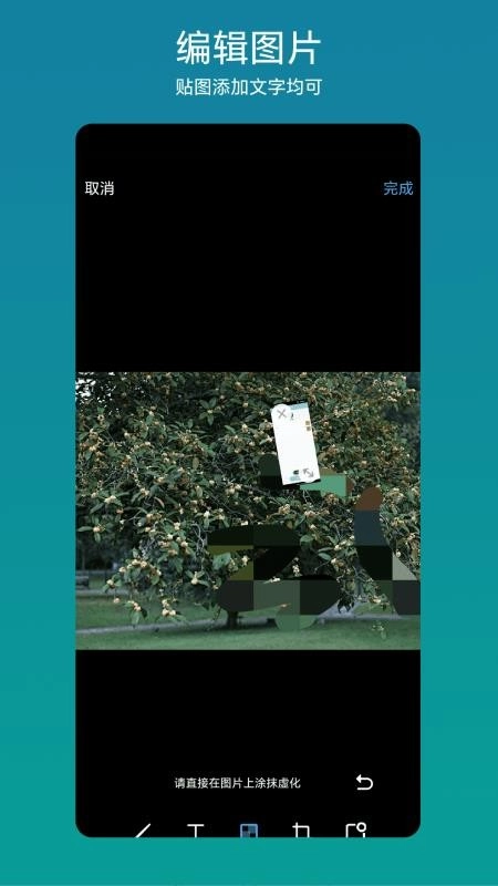 网页抓图宝安卓版