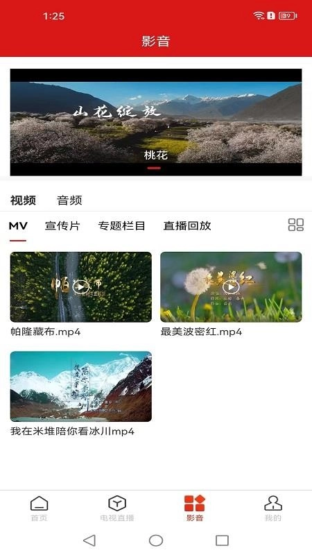 智慧波密无广告版