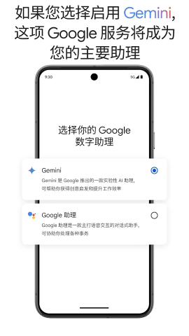 gemini人工智能截图3