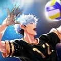 排球故事免费原版